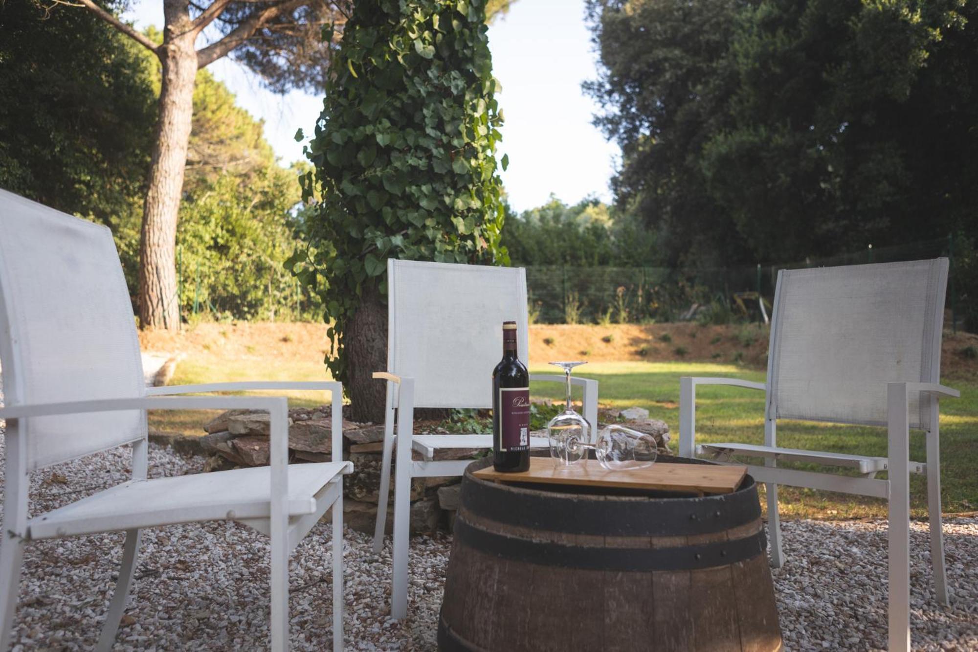 Podere San Filippo B&B-Apartment-Pet Friendly-Rent Bike And Bike Friendly Bibbona Exterior photo